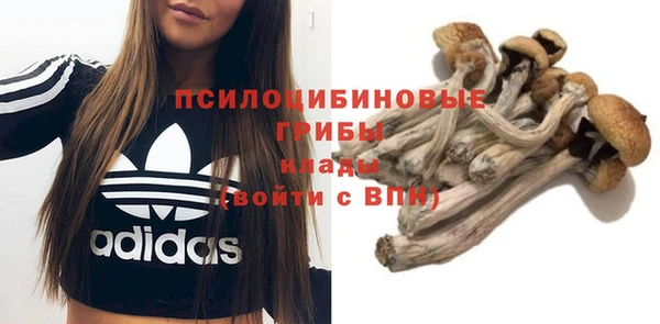 apvp Абдулино