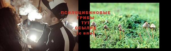 спиды Абаза