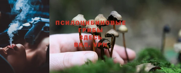 apvp Абдулино