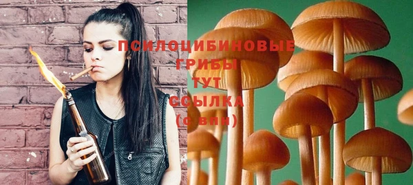 спиды Абаза