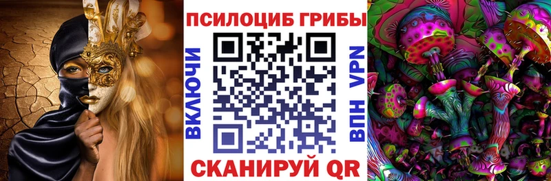 Псилоцибиновые грибы Cubensis  купить наркоту  Судогда 
