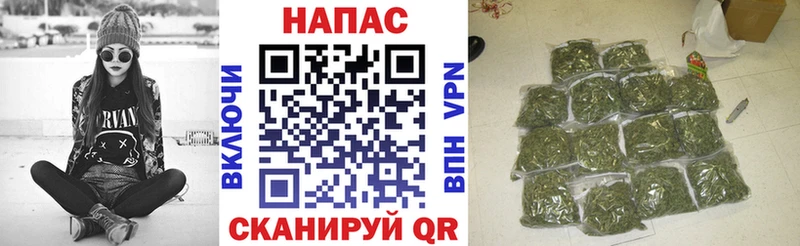 Бошки марихуана сатива  Судогда 